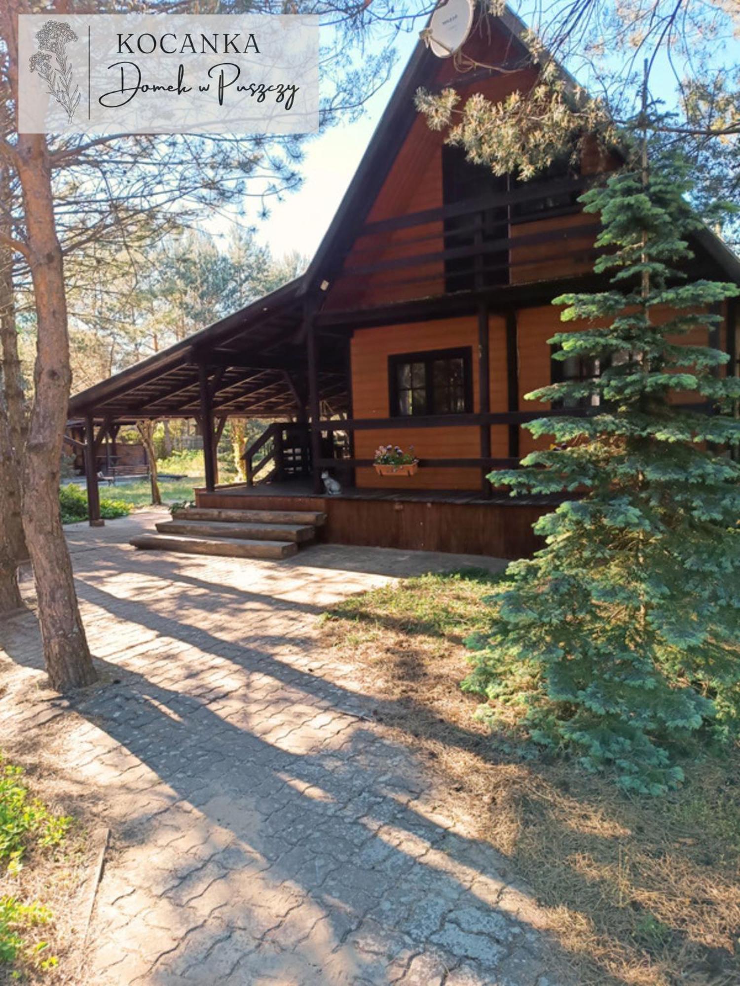 Domek W Puszczy ,,Kocanka" Mezyk Экстерьер фото